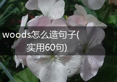 woods怎么造句子(实用60句)