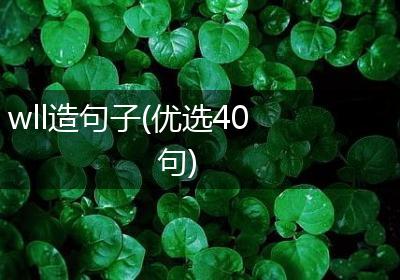 wll造句子(优选40句)