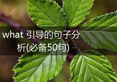 what 引导的句子分析(必备50句)