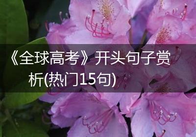 《全球高考》开头句子赏析(热门15句)