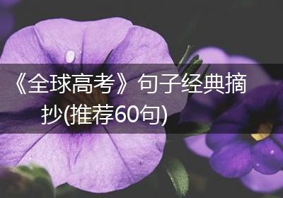 《全球高考》句子经典摘抄(推荐60句)