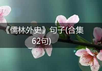 《儒林外史》句子(合集62句)