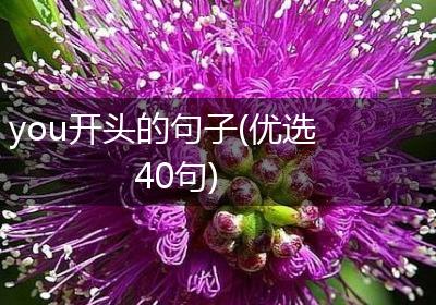 you开头的句子(优选40句)