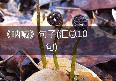 《呐喊》句子(汇总10句)