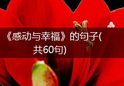 《感动与幸福》的句子(共60句)