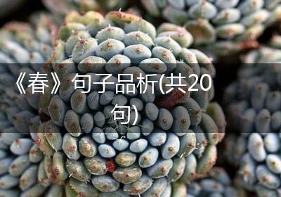《春》句子品析(共20句)