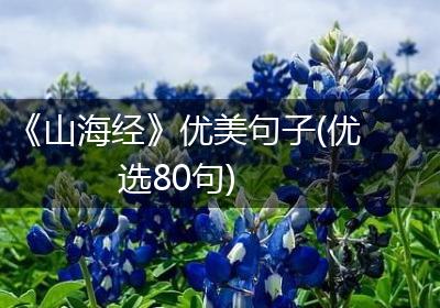 《山海经》优美句子(优选80句)