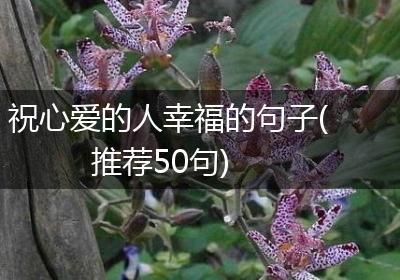 祝心爱的人幸福的句子(推荐50句)