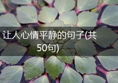 让人心情平静的句子(共50句)