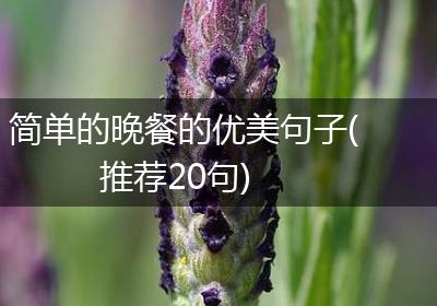 简单的晚餐的优美句子(推荐20句)