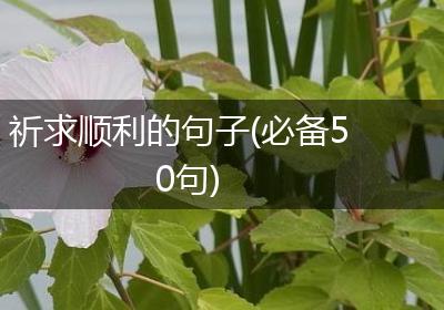 祈求顺利的句子(必备50句)