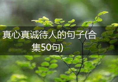 真心真诚待人的句子(合集50句)