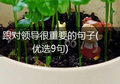 跟对领导很重要的句子(优选9句)