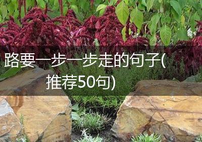 路要一步一步走的句子(推荐50句)
