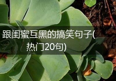 跟闺蜜互黑的搞笑句子(热门20句)