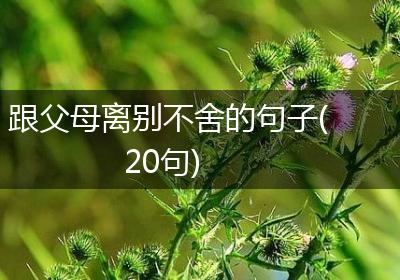 跟父母离别不舍的句子(20句)