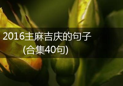 2016主麻吉庆的句子(合集40句)