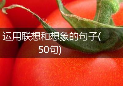运用联想和想象的句子(50句)