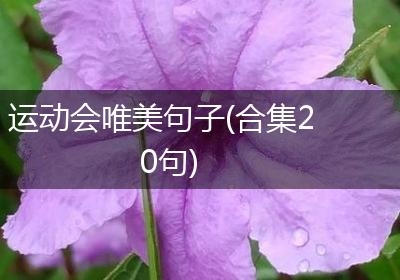 运动会唯美句子(合集20句)