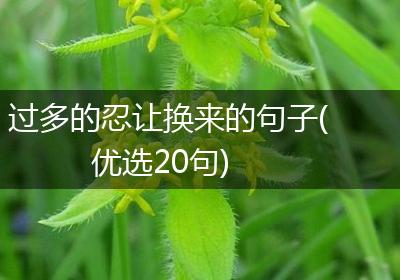 过多的忍让换来的句子(优选20句)