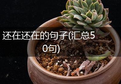 还在还在的句子(汇总50句)