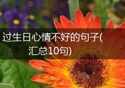 过生日心情不好的句子(汇总10句)
