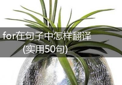 for在句子中怎样翻译(实用50句)