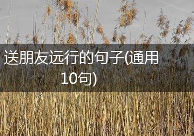 送朋友远行的句子(通用10句)