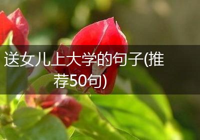 送女儿上大学的句子(推荐50句)