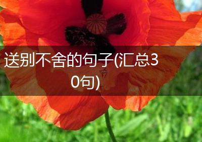 送别不舍的句子(汇总30句)