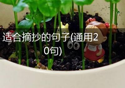 适合摘抄的句子(通用20句)