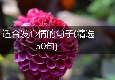 适合发心情的句子(精选50句)