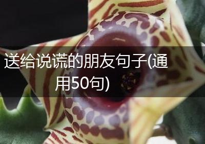 送给说谎的朋友句子(通用50句)