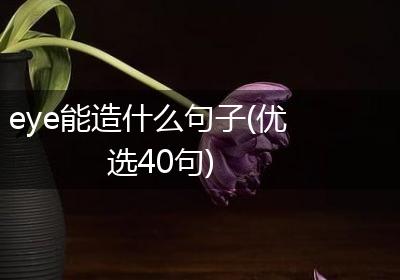 eye能造什么句子(优选40句)