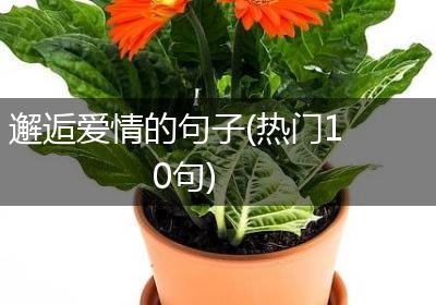邂逅爱情的句子(热门10句)