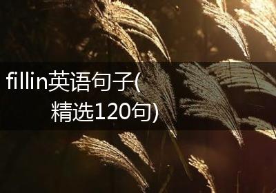 fillin英语句子(精选120句)