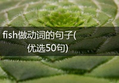 fish做动词的句子(优选50句)