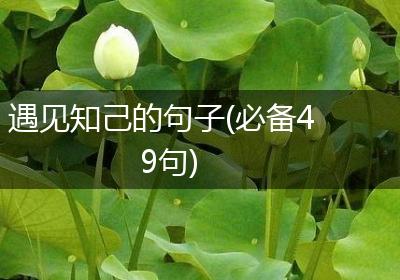 遇见知己的句子(必备49句)