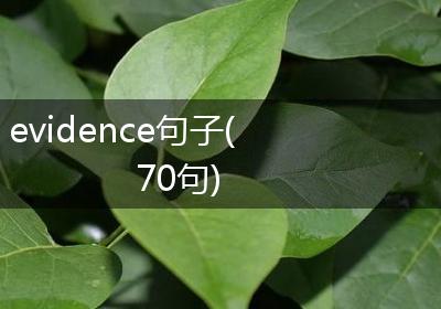 evidence句子(70句)