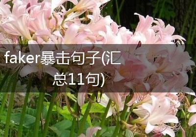faker暴击句子(汇总11句)