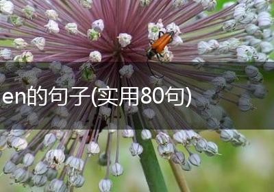 en的句子(实用80句)