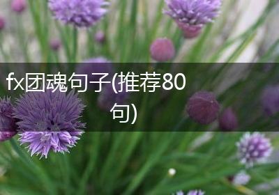 fx团魂句子(推荐80句)