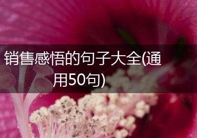 销售感悟的句子大全(通用50句)
