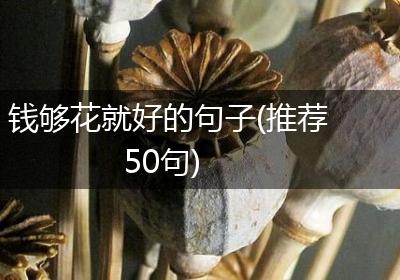 钱够花就好的句子(推荐50句)