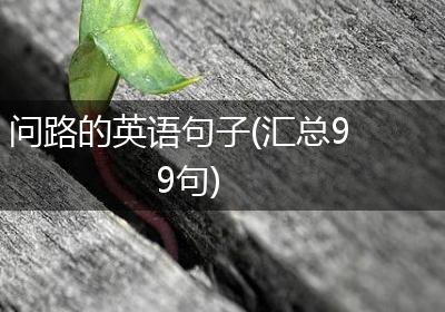 问路的英语句子(汇总99句)