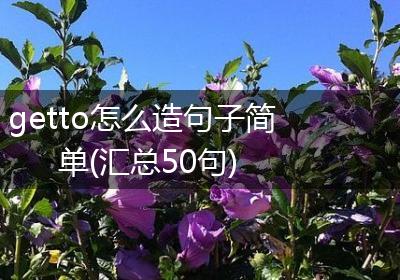 getto怎么造句子简单(汇总50句)