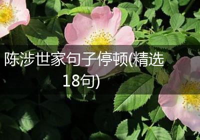 陈涉世家句子停顿(精选18句)