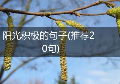 阳光积极的句子(推荐20句)