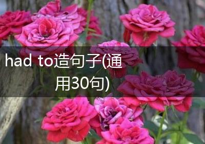 had to造句子(通用30句)