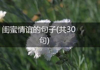 闺蜜情谊的句子(共30句)